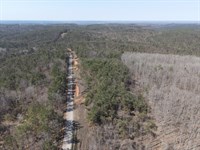 6.6 Acres Wooded Land in TN : Savannah : Hardin County : Tennessee