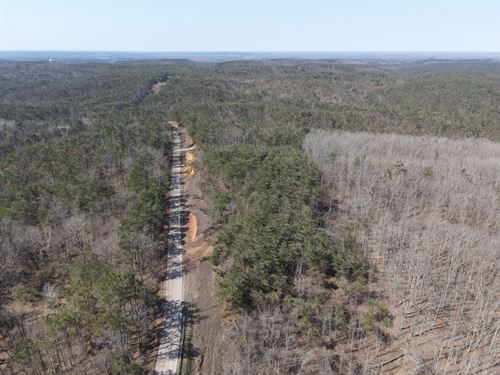 6.6 Acres Wooded Land in TN : Savannah : Hardin County : Tennessee
