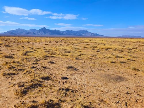 20 Acres Elko County NV : Montello : Elko County : Nevada