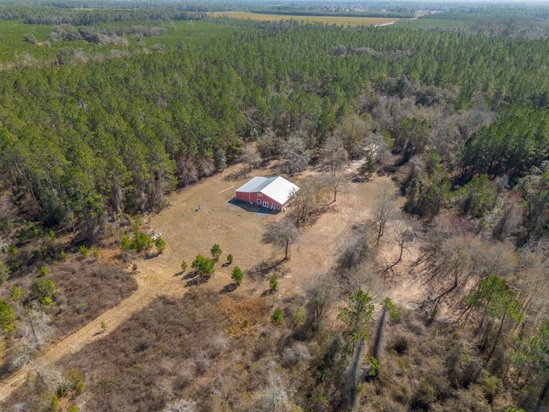 90 Acre Retreat on Little Saint Mar : Saint George : Charlton County : Georgia