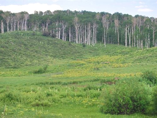 Freeman Ranch : Craig : Moffat County : Colorado