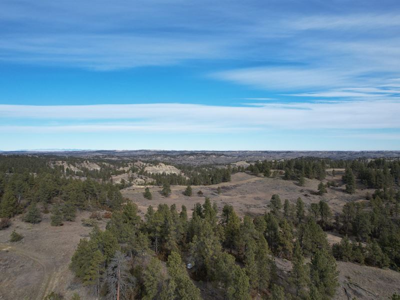 The Breaks Hunting Camp : Winnett : Petroleum County : Montana