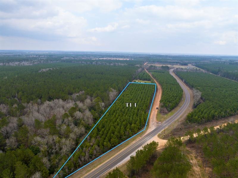 5.4 Acres, Menard Chapel Road : Livingston : Polk County : Texas