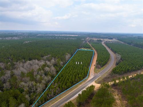 5.4 Acres, Menard Chapel Road : Livingston : Polk County : Texas