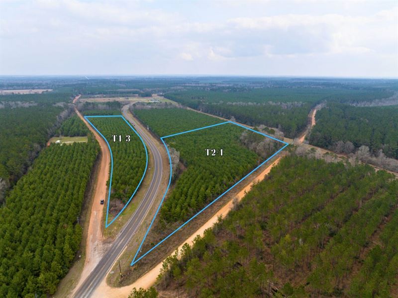 10.7 Acres, FM 943 : Livingston : Polk County : Texas