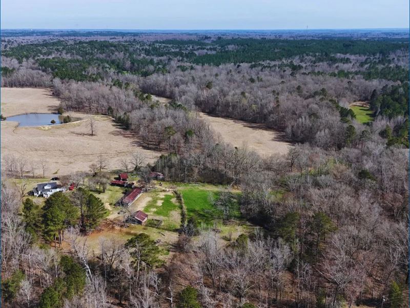 180 Acres in Copiah and Hinds Count : Crystal Springs : Copiah County : Mississippi