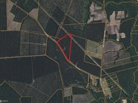 Timberland & Hunting Near New Bern : Aurora : Beaufort County : North Carolina