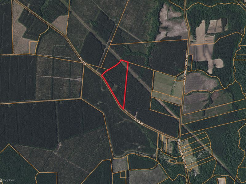 Timberland & Hunting Near New Bern : Aurora : Beaufort County : North Carolina