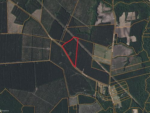 Timberland & Hunting Near New Bern : Aurora : Beaufort County : North Carolina