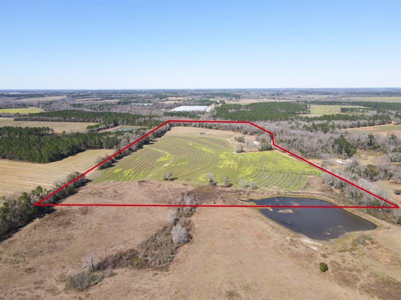 Union Hill Farm : Pelham : Grady County : Georgia