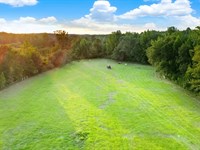 Horse Branch Creek Ranch : Centreville : Bibb County : Alabama