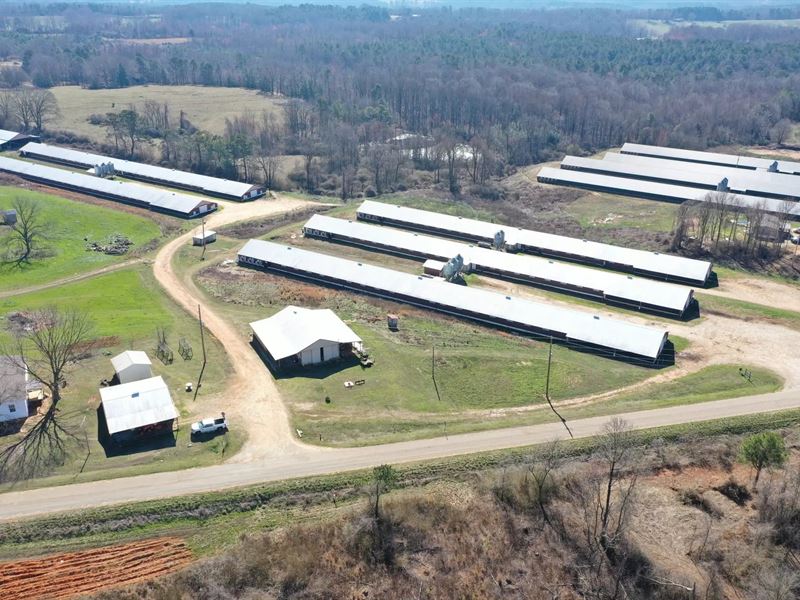 Lili Broiler Farm : Wedowee : Randolph County : Alabama