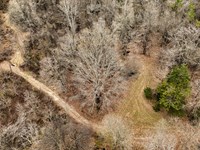 Mississippi Hardwood Hunting Tract : Redwood : Warren County : Mississippi