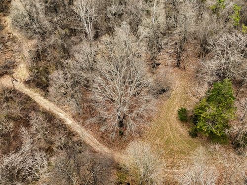 Mississippi Hardwood Hunting Tract : Redwood : Warren County : Mississippi