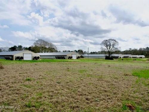 Tylertown, MS 6-House Poultry Broil : Tylertown : Walthall County : Mississippi
