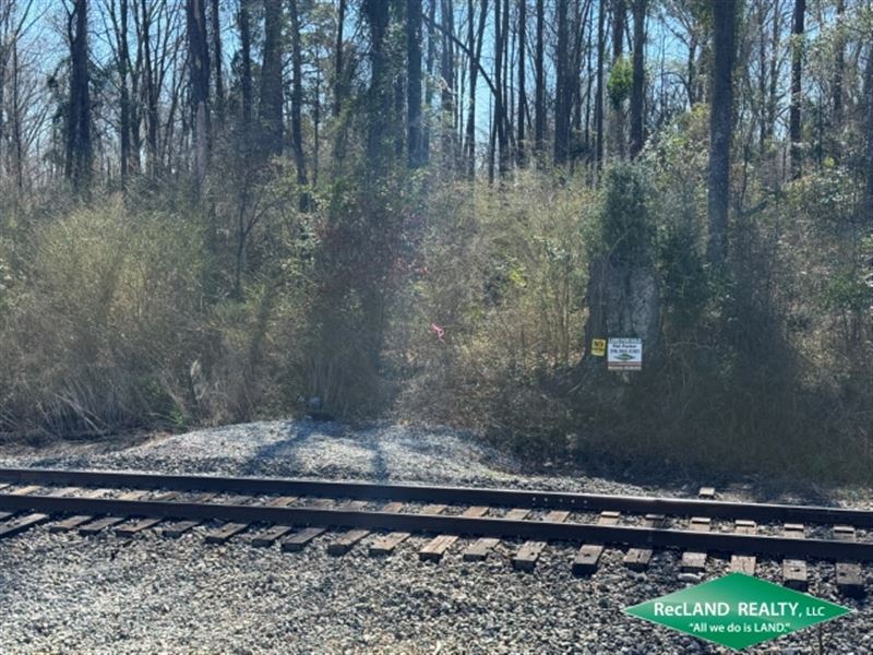 138 Ac Hunting & Timber Tract : Choudrant : Lincoln Parish : Louisiana