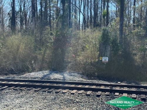 138 Ac Hunting & Timber Tract : Choudrant : Lincoln Parish : Louisiana