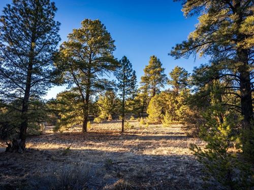 W/ Power, Utilities & Hwy Frontage : Ramah : Cibola County : New Mexico