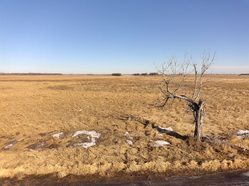 161 Acres, Dickey County, North : Edgeley : Dickey County : North Dakota