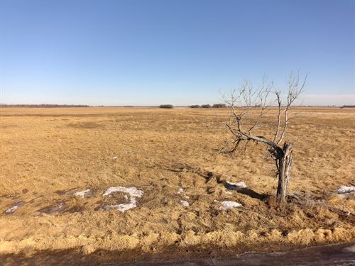 161 Acres, Dickey County, North : Edgeley : Dickey County : North Dakota