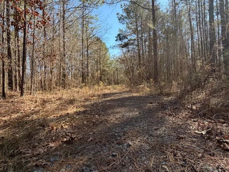 30.4 Acres in Choctaw County, MS : Mathiston : Choctaw County : Mississippi