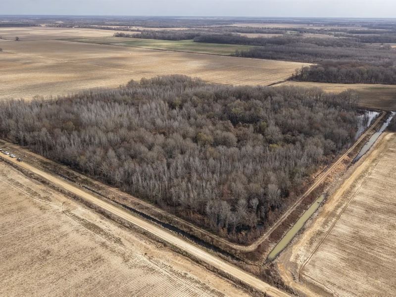 60 Acres in Chicot County, AR : Eudora : Chicot County : Arkansas