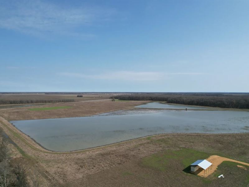 163.4 Acres in Quitman County, MS : Walnut : Quitman County : Mississippi