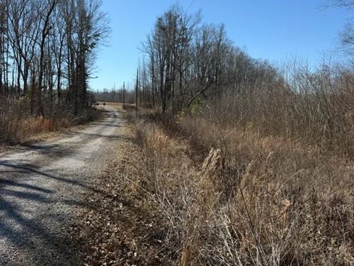 17.53 Acres in Prentiss County, MS : Booneville : Prentiss County : Mississippi