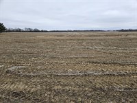 61 Acres, 100 Percent Tillable : Bellevue : Seneca County : Ohio