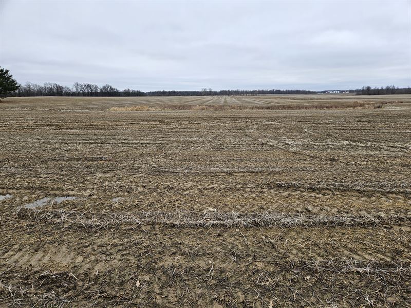 61 Acres, 100 Percent Tillable : Bellevue : Seneca County : Ohio