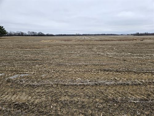 61 Acres, 100 Percent Tillable : Bellevue : Seneca County : Ohio