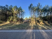 Unrestricted Homsites Near Lake : Livingston : Polk County : Texas