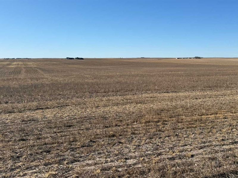 80 Ac Dryland Cheyenne County : Cheyenne : Cheyenne County : Nebraska