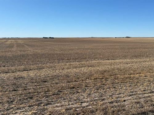 80 Ac Dryland Cheyenne County : Cheyenne : Nebraska