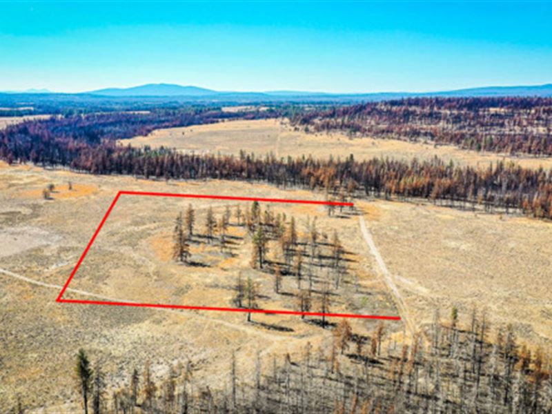 Big Adventures in Klamath : Chiloquin : Klamath County : Oregon