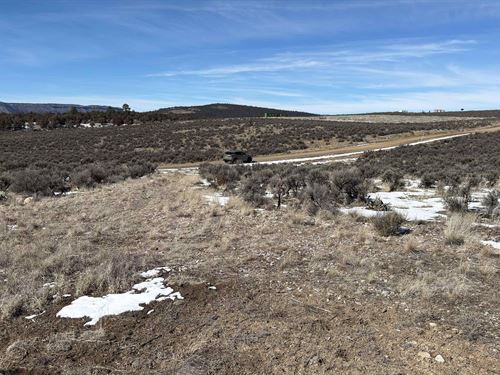 10 Acres in Rio Arriba County, NM : Tierra Amarilla : Rio Arriba County : New Mexico