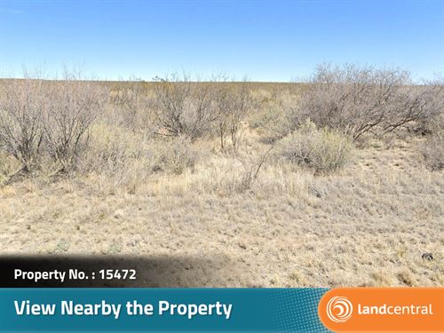 10.32 Acres of Sprawling Desert : Hudspeth : Texas