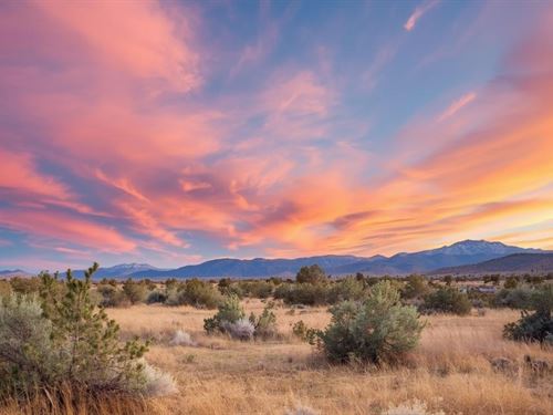 5 Acres of Wide Open Space : El Morro Valley : Cibola County : New Mexico
