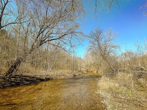 Brush Creek Tract : Linden : Perry County : Tennessee