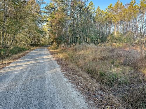 Herrington Hill Tract : Leesville : Vernon Parish : Louisiana