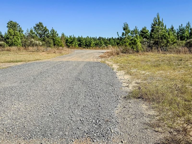 Old Pleasant Hill Tract : Zwolle : Sabine Parish : Louisiana