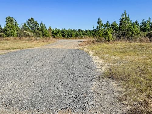 Old Pleasant Hill Tract : Zwolle : Sabine Parish : Louisiana