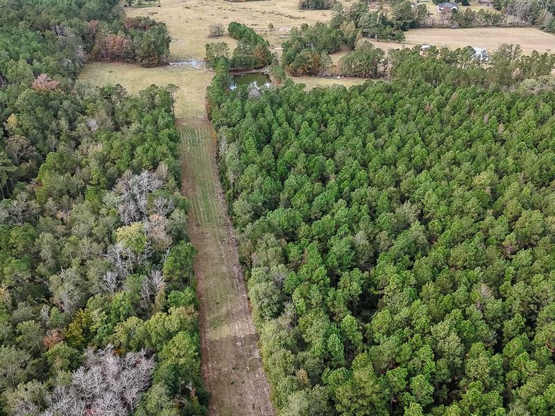 Alligator Park Road Tract : Starks : Calcasieu Parish : Louisiana