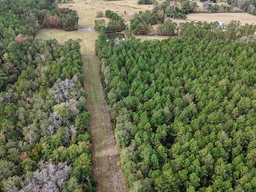 Alligator Park Road Tract : Starks : Calcasieu Parish : Louisiana