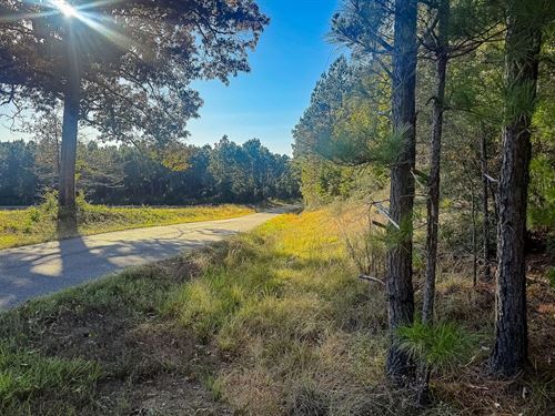 Old River Road Tract : Anacoco : Vernon Parish : Louisiana