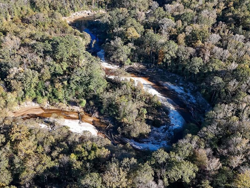 Bayou Toro Tract : Florien : Sabine Parish : Louisiana