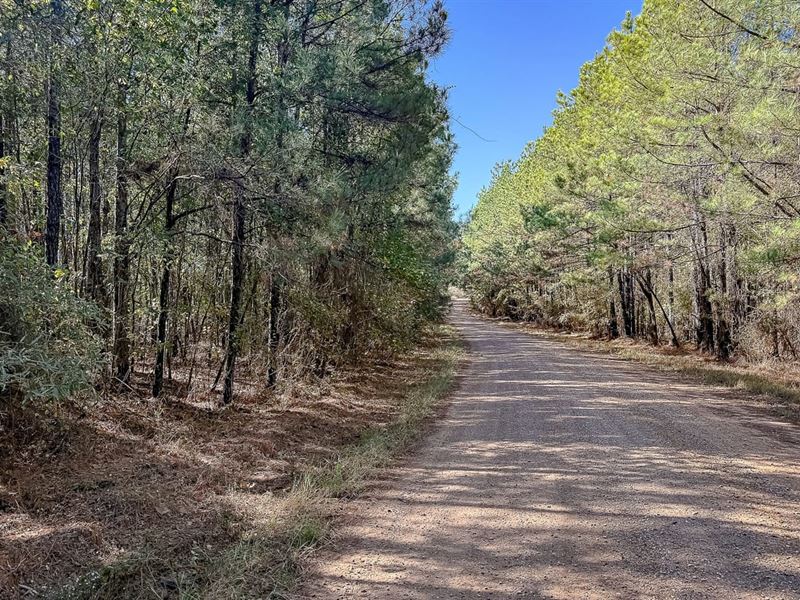 Robert Rawls Tract : Robeline : Natchitoches Parish : Louisiana