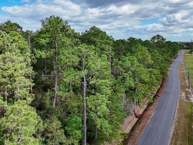 Wimberly Tract : Vinton : Calcasieu Parish : Louisiana