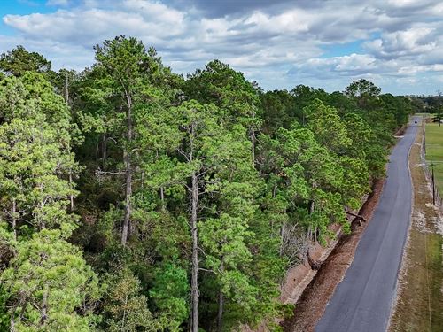 Wimberly Tract : Vinton : Calcasieu Parish : Louisiana