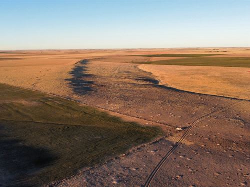 150 Acres in Otis, Colorado : Otis : Washington County : Colorado